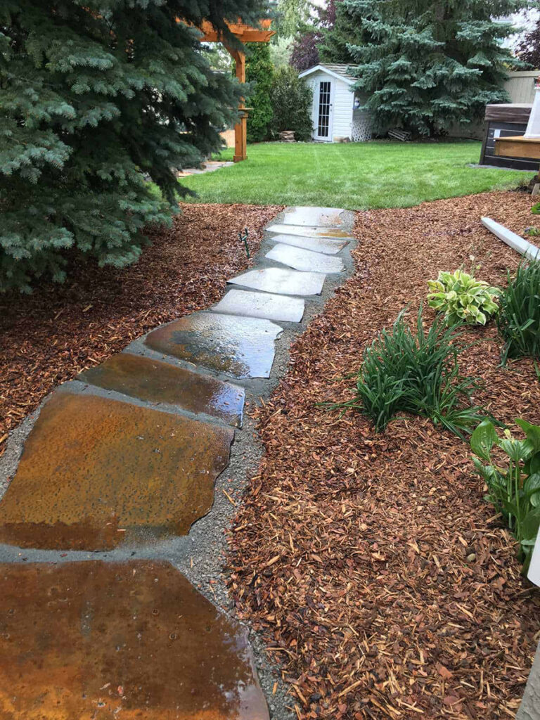 Pathway Through Trail in Edmonton Backyard