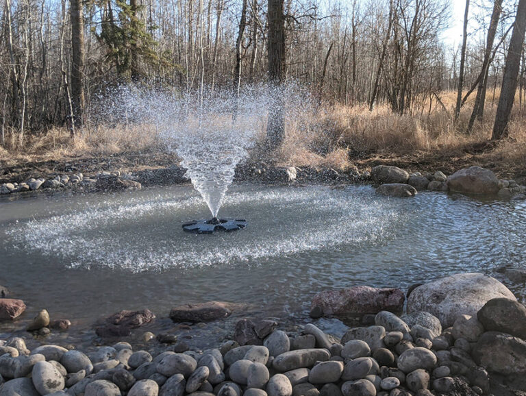 Water_Features_6