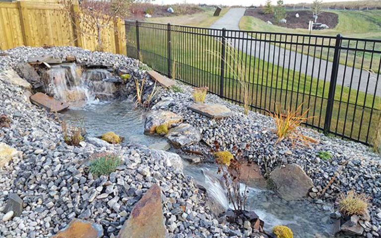 Side Yard Stream and Rocks