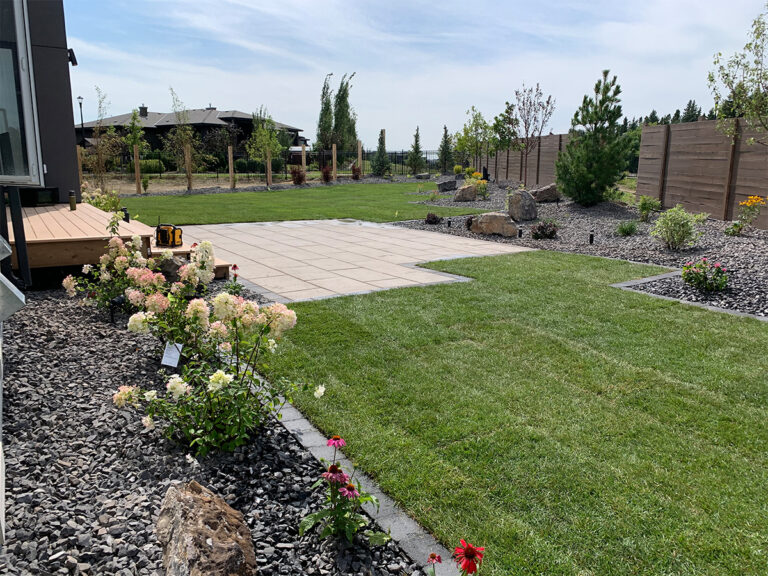 Backyard Infill Landscaping