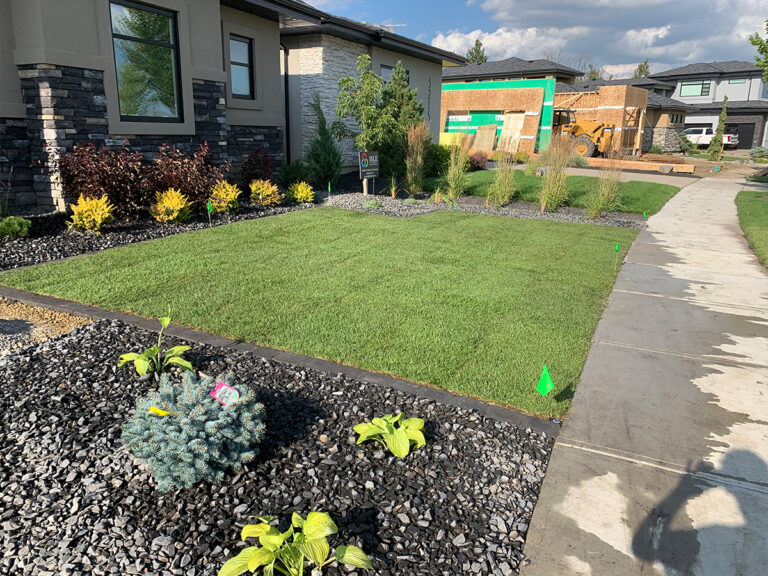 Modern Infill Landscaping