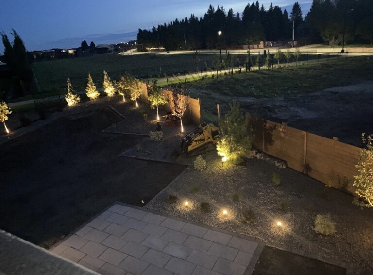 LED Backyard Lighting